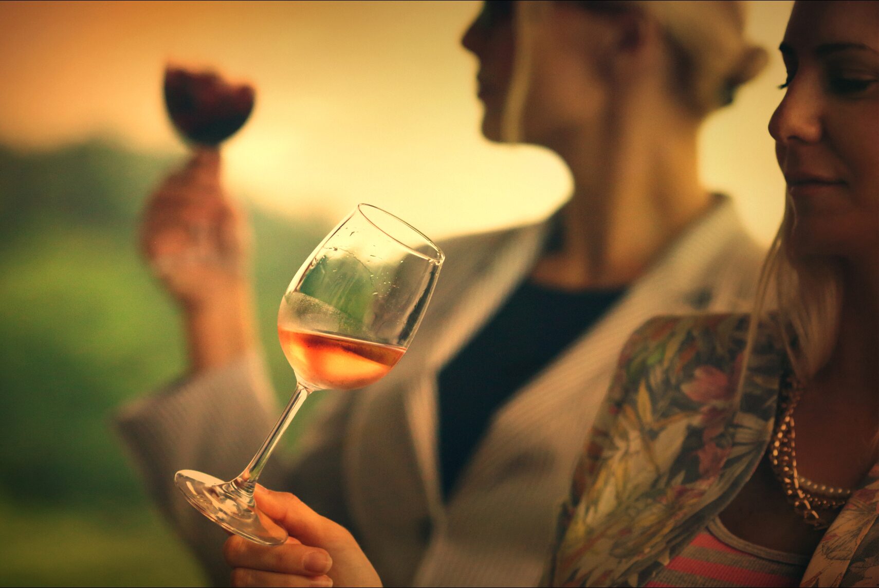 wine tasting